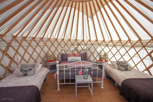 stylish_design_in_the_yurt